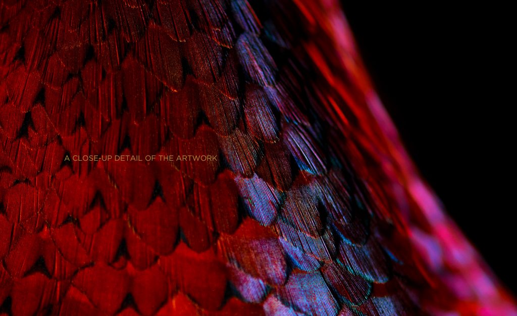 fine art photograph of a ring-necked pheasant by patrick steel
