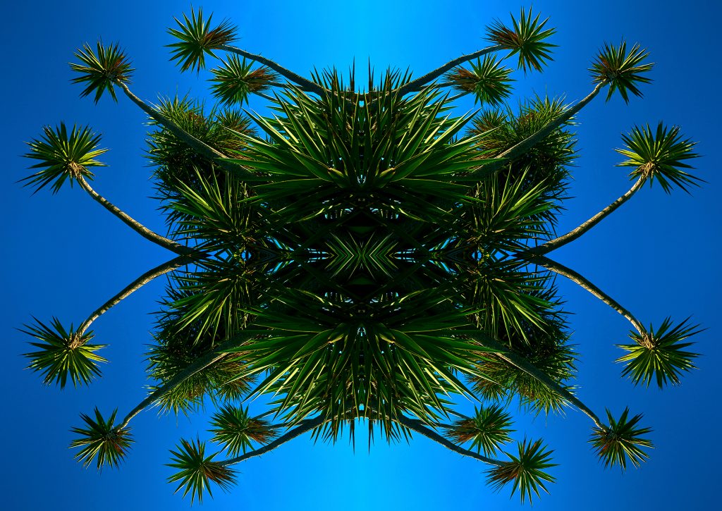 In Paradisum by Patrick Steel