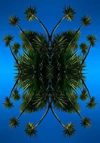 in paradisum photographic artwork by mr steel