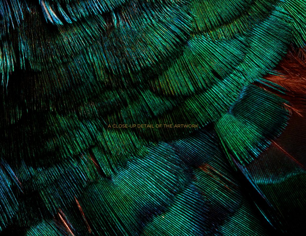photographic artwork of a ring-necked pheasant by patrick steel