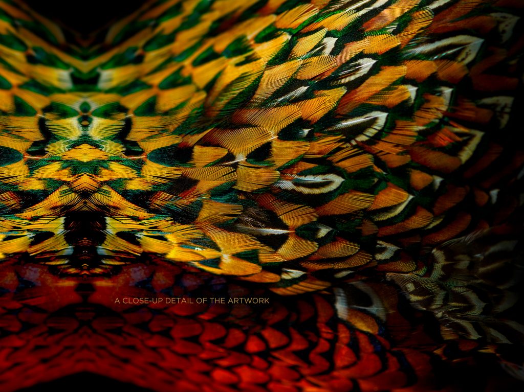 fine art photographic artwork of a ring-necked pheasant by patrick steel