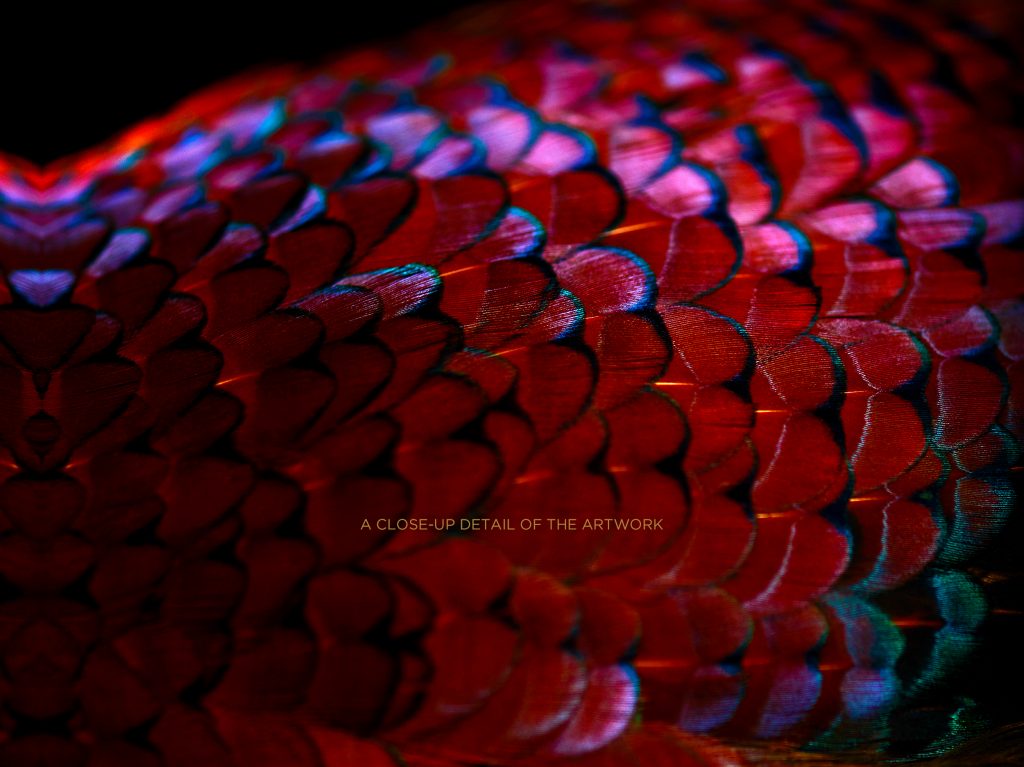 photographic artwork of a ring-necked pheasant by patrick steel
