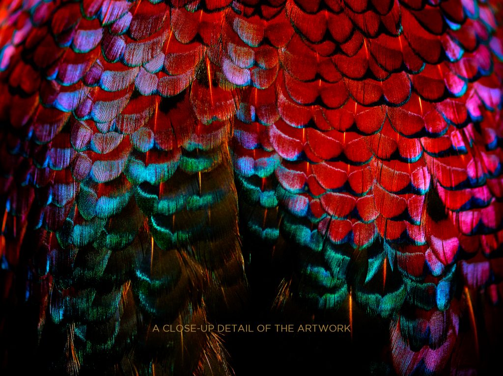 photographic artwork of a ring-necked pheasant by patrick steel