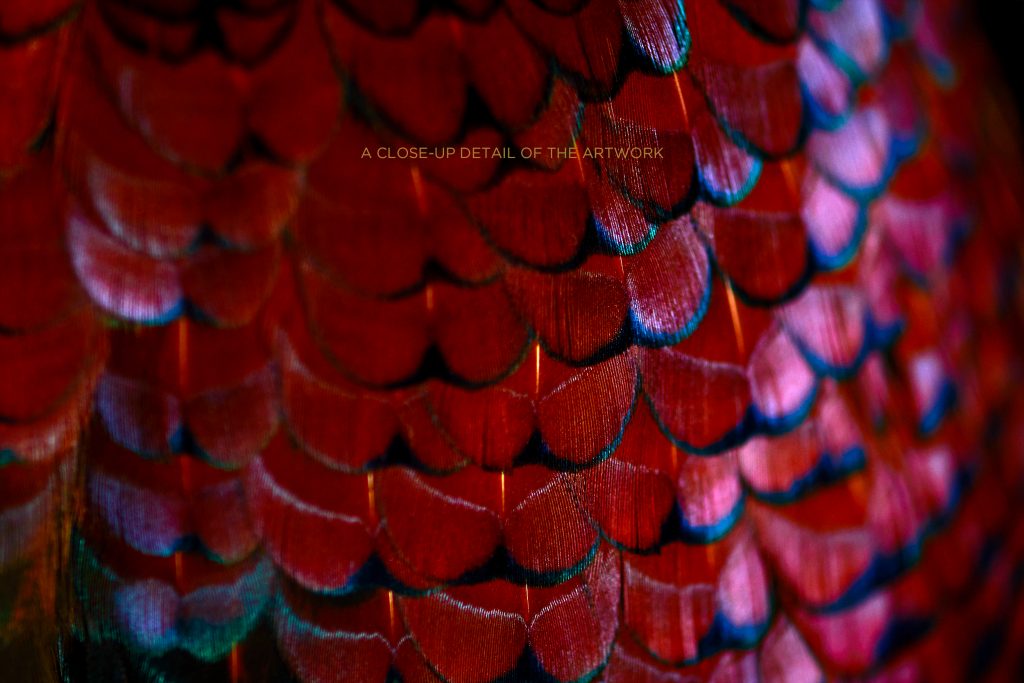photographic artwork of a ring-necked pheasant by patrick steel