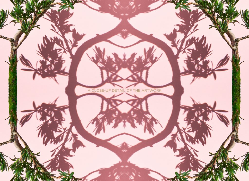 photographic montage of a buddhist pine bonsai tree by photographer patrick steel