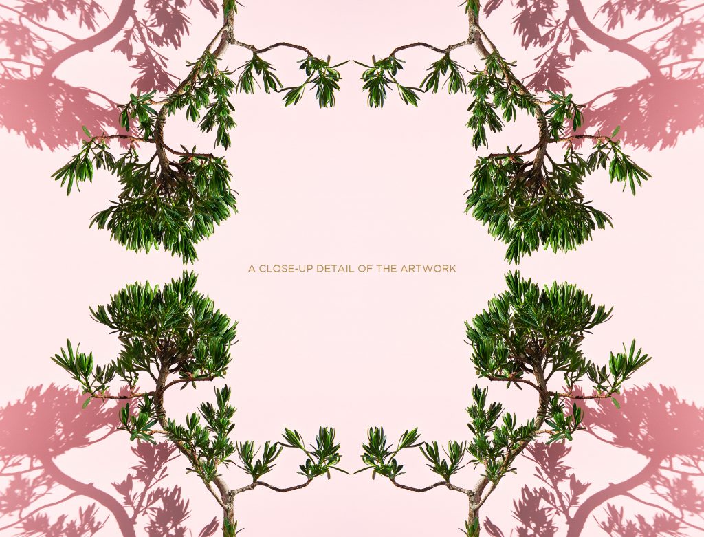 fine art photographic montage of a buddhist pine bonsai tree by photographer patrick steel